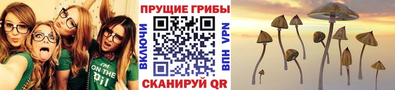 Псилоцибиновые грибы MAGIC MUSHROOMS купить наркотики сайты Самара