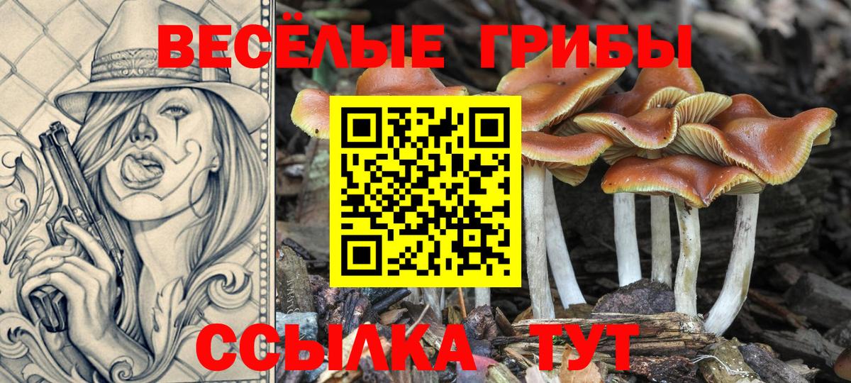 Галлюциногенные грибы мухоморы  Галлюциногенные грибы Cubensis  Вход с VPN  Самара 